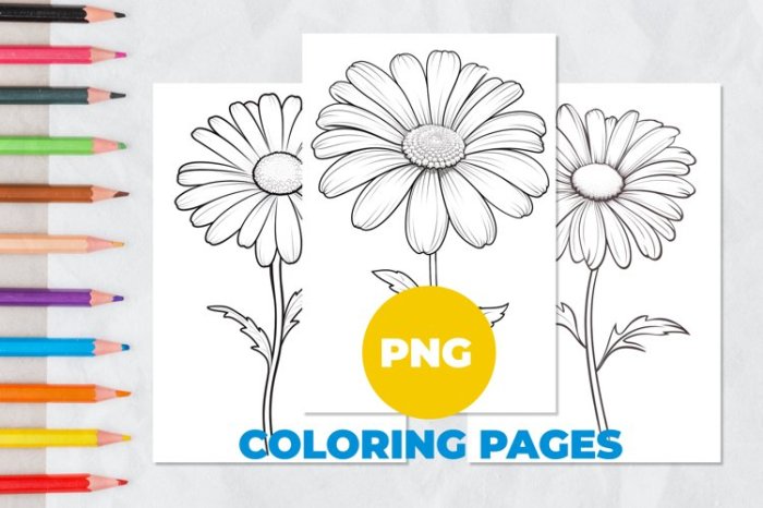 Flower coloring book pages