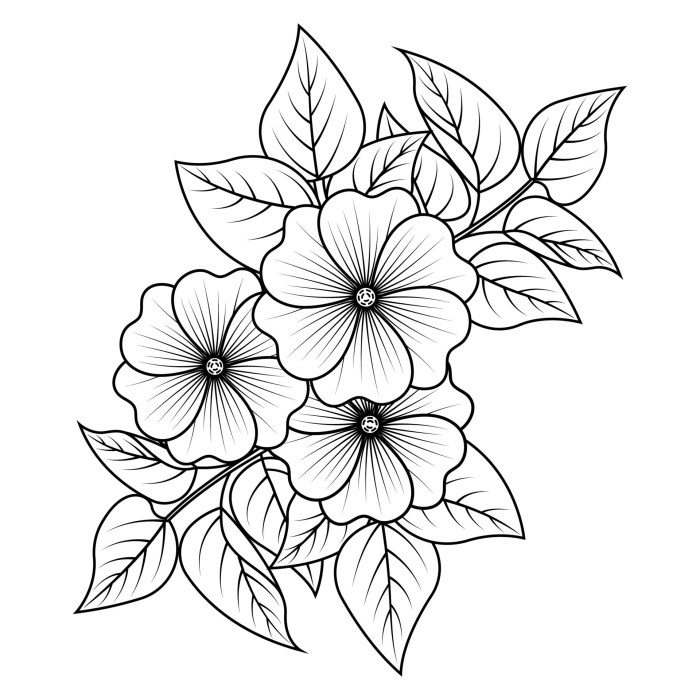 Flower coloring book pages